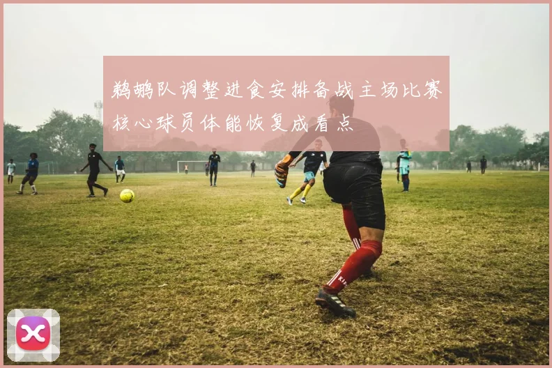 鹈鹕队调整进食安排备战主场比赛核心球员体能恢复成看点