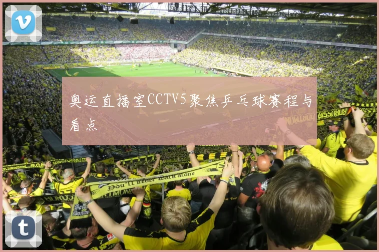 奥运直播室CCTV5聚焦乒乓球赛程与看点