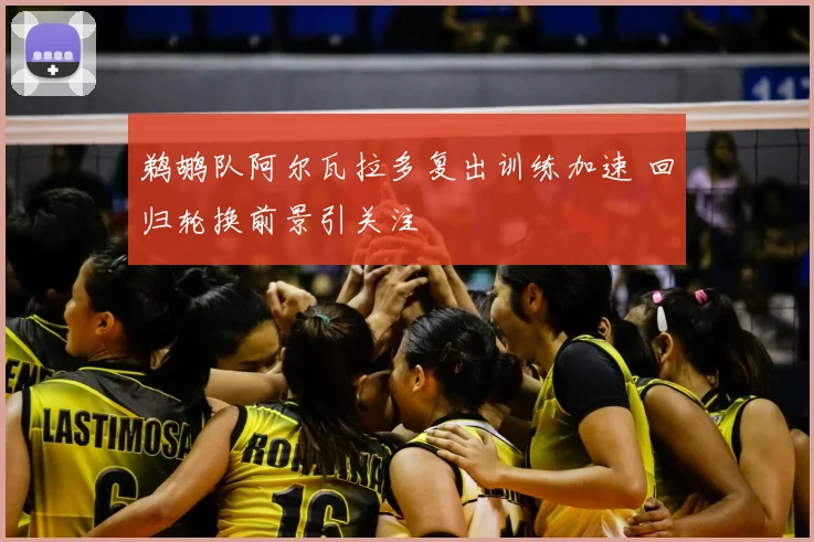 鹈鹕队阿尔瓦拉多复出训练加速 回归轮换前景引关注