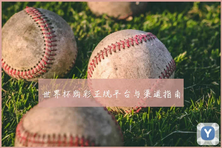 世界杯购彩正规平台与渠道指南