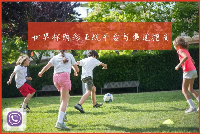 世界杯购彩正规平台与渠道指南