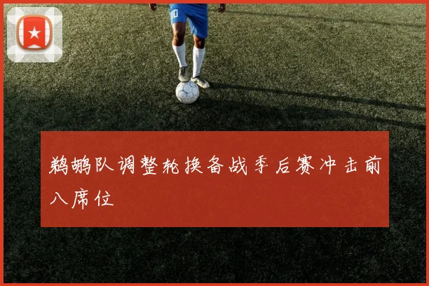 鹈鹕队调整轮换备战季后赛冲击前八席位