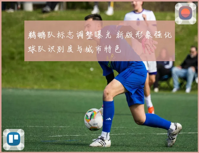 鹈鹕队标志调整曝光 新版形象强化球队识别度与城市特色