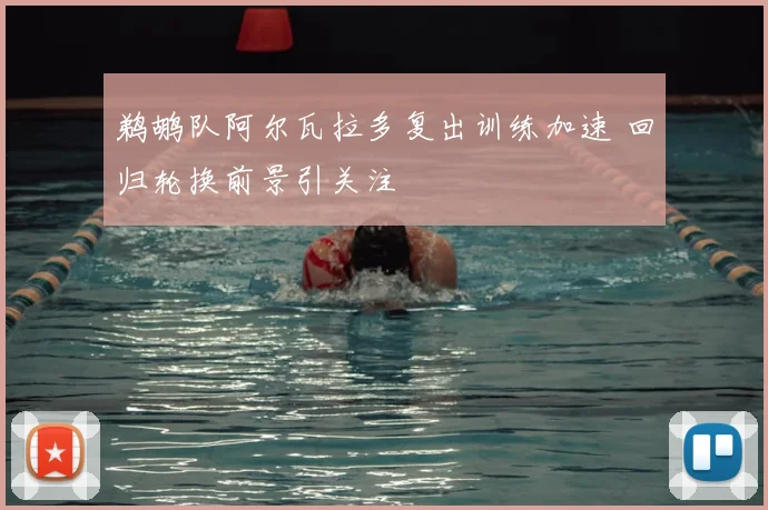 鹈鹕队阿尔瓦拉多复出训练加速 回归轮换前景引关注
