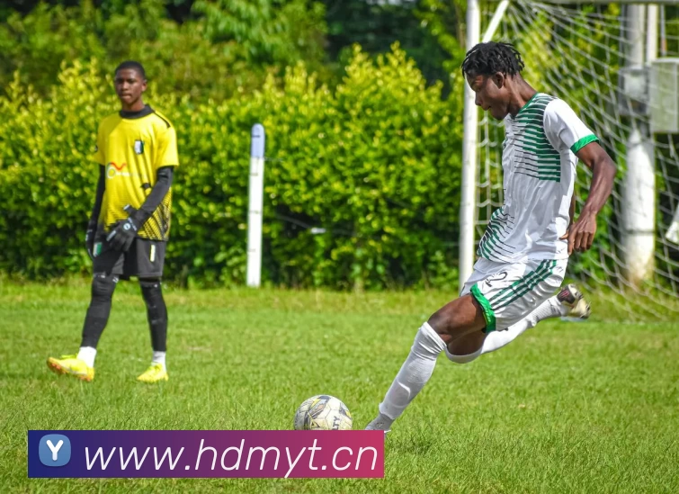 开云(中国)Kaiyun·官方网站 - 登录入口服务体系